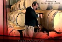 Comenge - Bodegas Ribera del Duero - Enoturismo ruta del vino